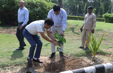 World Environment Day 2023: Tree plantation being done by Officer & Staff of DGDE