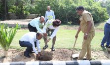 World Environment Day 2023: Tree plantation being done by Officer & Staff of DGDE;?>