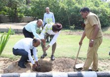 World Environment Day 2023: Tree plantation being done by Officer & Staff of DGDE;?>