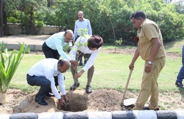 World Environment Day 2023: Tree plantation being done by Officer & Staff of DGDE