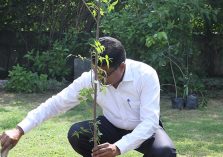 World Environment Day, 05 June, 2023 - Tree plantation being carried out by Shri GS Rajeswaran, DGDE;?>