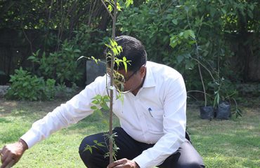 World Environment Day, 05 June, 2023 - Tree plantation being carried out by Shri GS Rajeswaran, DGDE