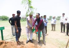 विश्व पर्यावरण दिवस 2025 पर रक्षा सम्पदा भवन दिल्ली कैंट में पद्मश्री उमाशंकर पांडे और श्री एस एन गुप्ता, महानिदेशक, रक्षा सम्पदा द्वारा वृक्षारोपण;?>