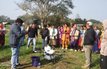 कृषि विभाग