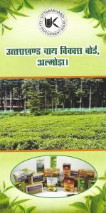Uttarakhand Tea Brochures picture