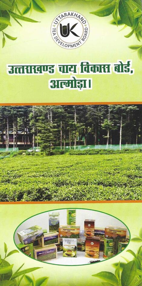 Uttarakhand Tea Brochures picture