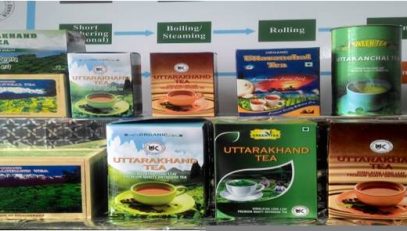 Various Types of Uttarakhand Tea