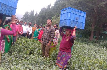 नर्सरी के लिए श्रमिकों का प्रशिक्षण