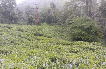 नर्सरी के लिए श्रमिकों का प्रशिक्षण
