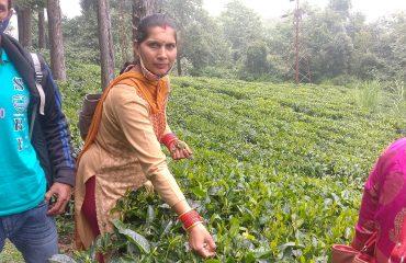 नर्सरी के लिए श्रमिकों का प्रशिक्षण