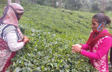 नर्सरी के लिए श्रमिकों का प्रशिक्षण