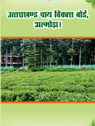 उत्तराखंड चाय विवरण