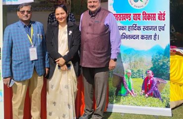 बसंतोत्सव