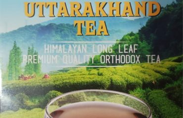 Gatta Pack Organic Tea