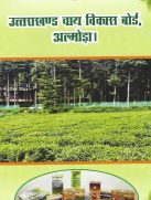 Uttarakhand Tea Brochures picture