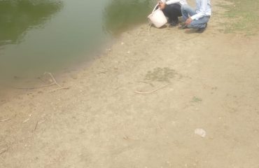 Sirsa-Release of Gambusia Fish