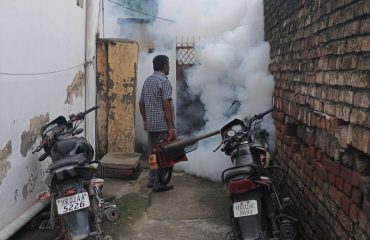 Yamunanagar-Fogging in affected areas
