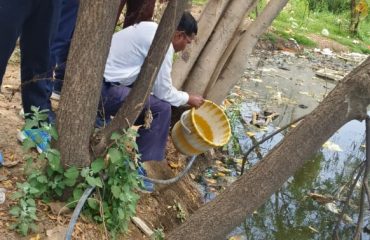 Gurugram-Release of Gambusia fish in water bodies