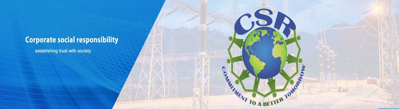 Power Transmission Corporation