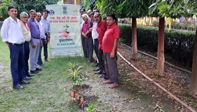 Plantation in NILD