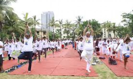 Yoga DAY 2024