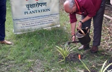 वृक्षारोपण