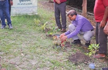 वृक्षारोपण