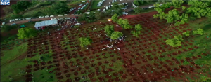 kolhapur VC3