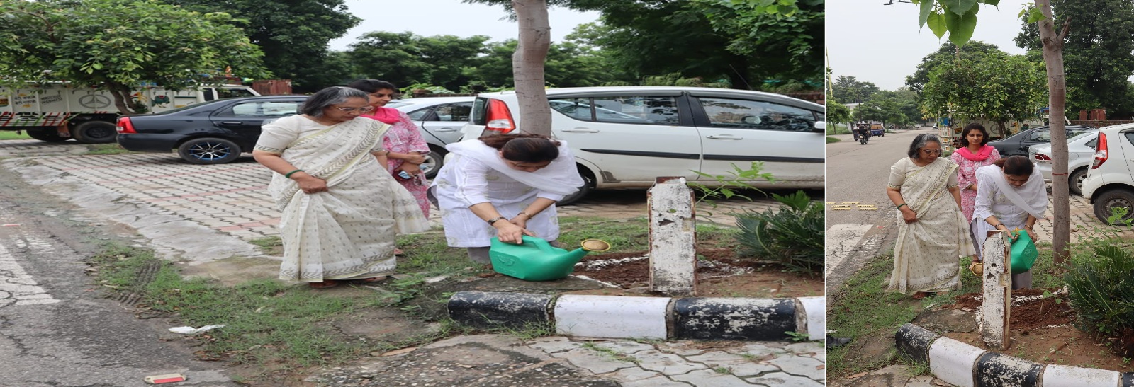 Member Secretary and Additional Member Secretary planting saplings at PSLSA Head Office.