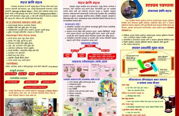 स्वच्छ भारत