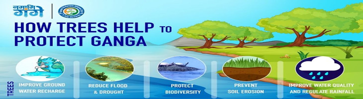 how trees help
