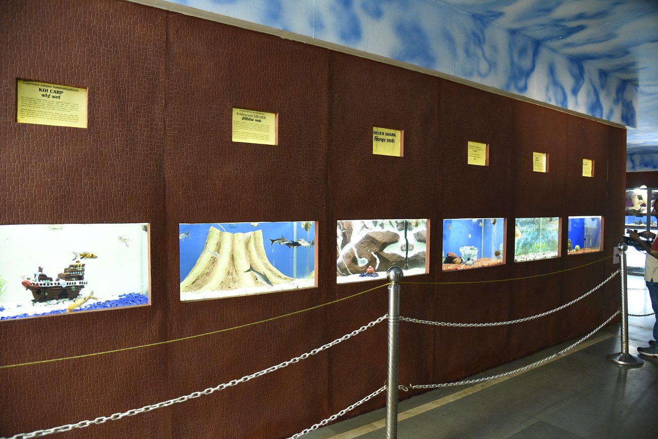 Ratnagiri Marine Fish Museum