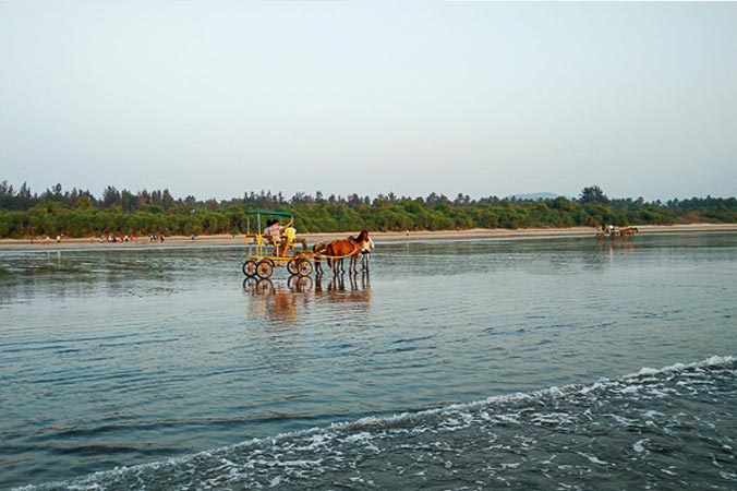 Diveagar