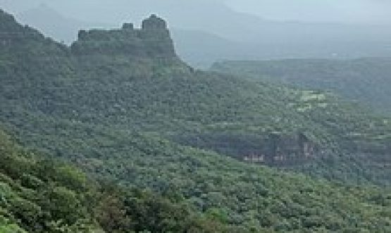 भीमाशंकर वन्यजीव अभयारण्य