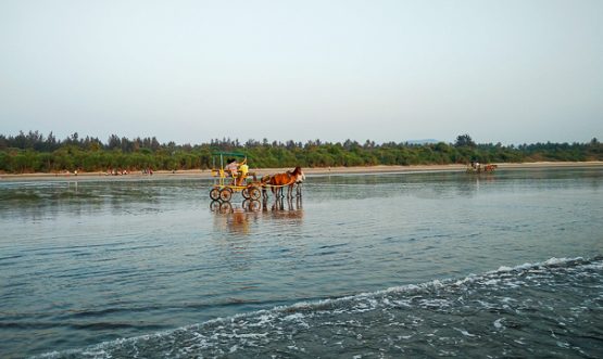 Family,Enjoying,Horse,Cart,Ride,On,Diveagar,Beach,India