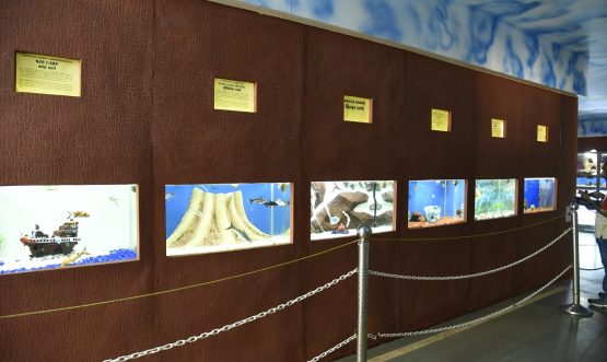 Ratnagiri Marine Fish Museum