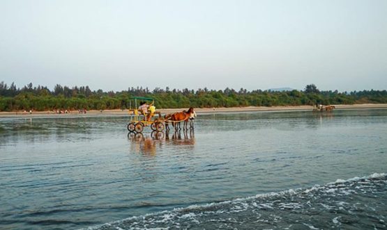 Diveagar