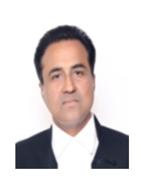 Justice Arun Palli