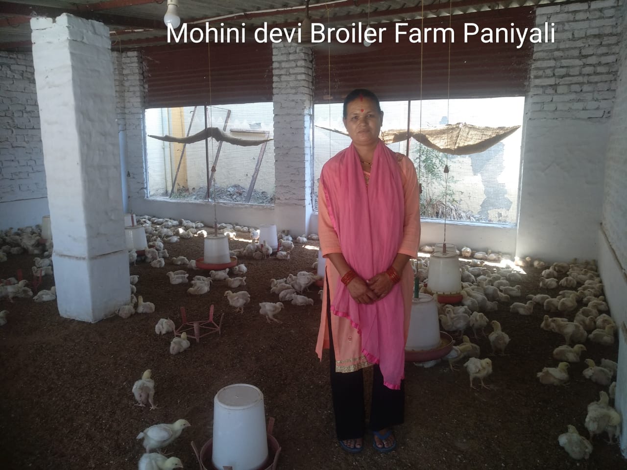मोहिनी देवी, पन्याली, हल्द्वानी