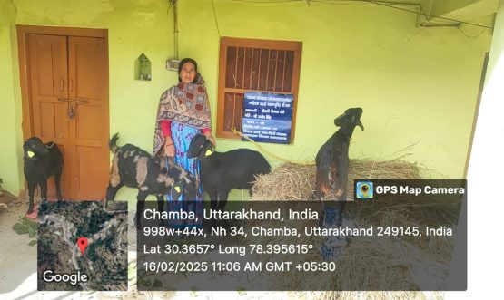 महिला बकरी पालन लाभार्थी