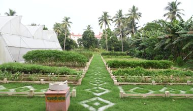 Dhanvantri Garden