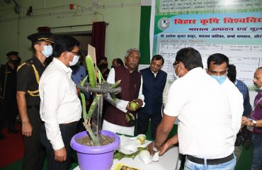 His Excellency visiting stalls in Kisaan Mela.