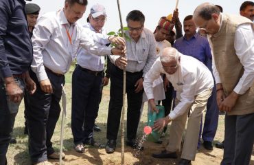 His Excellency planting a plant in the IIT premises.