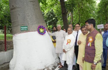 His Excellency tying rakhi to tree.
