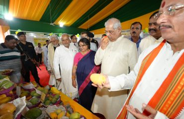 Honorable Governor at the mango stall.