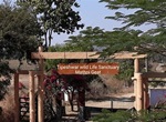 यवतमाळ