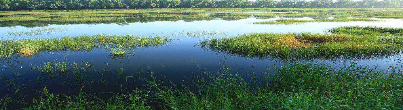 State-Wetland-Authority-Haryana