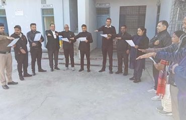 Activities Carried out During the Constitution week