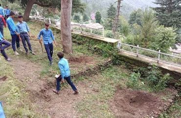 Plantation by the Hon'ble Executive Chairman