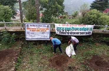 Plantation by the Hon'ble Executive Chairman